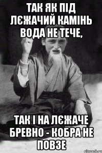 Так як під лєжачий камінь вода не тече, так і на лєжаче бревно - кобра не повзе