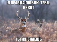 Я правда люблю тебя, Никит ты же знаешь