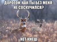 Дорогой, как ты без меня: не соскучился? нет кнеш