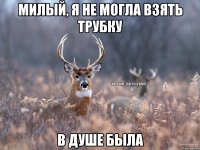 Милый, я не могла взять трубку в душе была