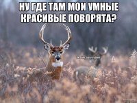 Ну где там мои умные красивые поворята? 