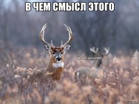 в чем смысл этого 