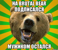 На BRUTAL BEAR подписался мужиком остался