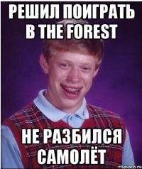 решил поиграть в The Forest не разбился самолёт