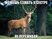 Можешь езжать к сестре Не переживай