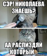 Сэр! Николаева знаешь? аа распиздяй который...