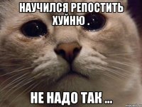 Научился репостить хуйню . Не надо так ...