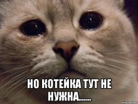  Но котейка тут не нужна......