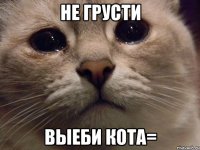 НЕ ГРУСТИ ВЫЕБИ КОТА=