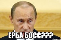  Ерба босс???