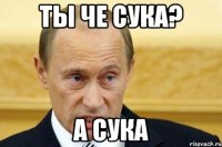 Ты че сука? А сука