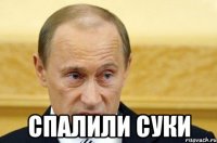  Спалили суки