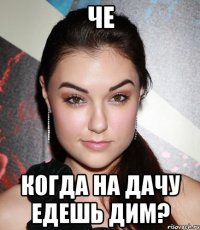 че когда на дачу едешь Дим?