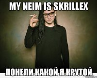 MY NEIM IS SKRILLEX ПОНЕЛИ КАКОЙ Я КРУТОЙ