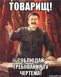 товарищ! соблюдай требования ТУ чертежа!