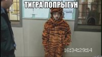 Тигра попрыгун 