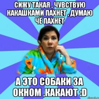 сижу такая , чувствую какашками пахнет , думаю чё пахнет а это собаки за окном ,какают :D