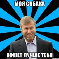 Моя собака Живет лучше тебя