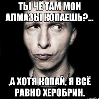 ТЫ ЧЁ ТАМ МОИ АЛМАЗЫ КОПАЕШЬ?... ,А ХОТЯ КОПАЙ, Я ВСЁ РАВНО ХЕРОБРИН.