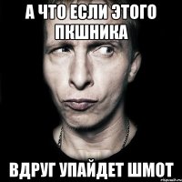 А что если этого пкшника Вдруг упайдет шмот