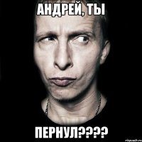 АНДРЕЙ, ТЫ ПЕРНУЛ????