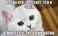 когда кто-то путает -тся и -ться в мире грустит один котик