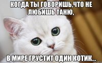 когда ты говоришь,что не любишь таню, в мире грустит один котик...