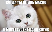 Когда ты не ешь масло В мире грустит один котик