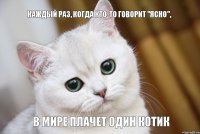 в мире плачет один котик Каждый раз, когда кто-то говорит "ясно",