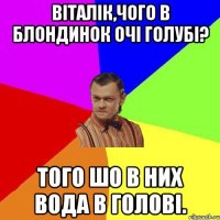 Віталік,чого в блондинок очі голубі? Того шо в них вода в голові.