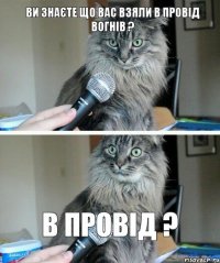 ви знаєте що вас взяли в провід вогнів ? в провід ?