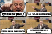 Гуляю по улице Там готы и металисты Здесь панки и скинхеды Братюни как мне вас не хватает !