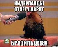 Нидерланды отпетушарят Бразильцев:D