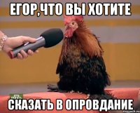 Егор,что вы хотите сказать в опровдание