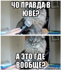 чо правда в юве? а это где вообще?