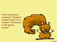 Я вот спашиваю у человека-"Почему я в дубле живу?"А он говорит-"Потомучто у тебя дупа в голове"