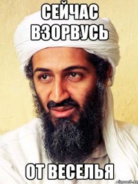 сейчас взорвусь от веселья