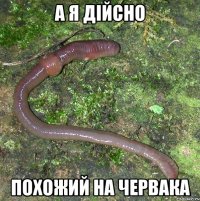 а я дійсно похожий на червака