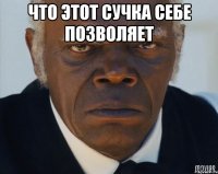 Что этот сучка себе позволяет 