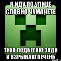 Я ИДУ ПО УЛИЦЕ СЛОВНО ЧУМАЧЕТЕ ТИХО ПОДБЕГАЮ ЗАДИ И ВЗРЫВАЮ ПЕЧЕНЬ