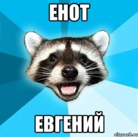 Енот Евгений