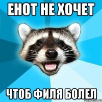 Енот не хочет чтоб Филя болел