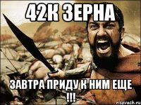 42к зерна Завтра приду к ним еще !!!