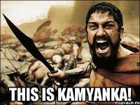  THIS IS KAMYANKA!