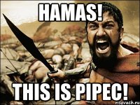 Hamas! This is pipec!