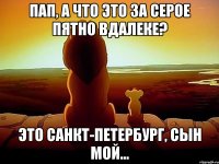 Пап, а что это за серое пятно вдалеке? Это Санкт-Петербург, сын мой...