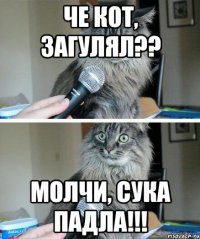 Че кот, загулял?? Молчи, сука падла!!!