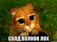  солд.Волков лох