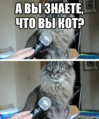 А Вы знаете, что Вы кот? 