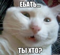 Ебать... Ты хто?